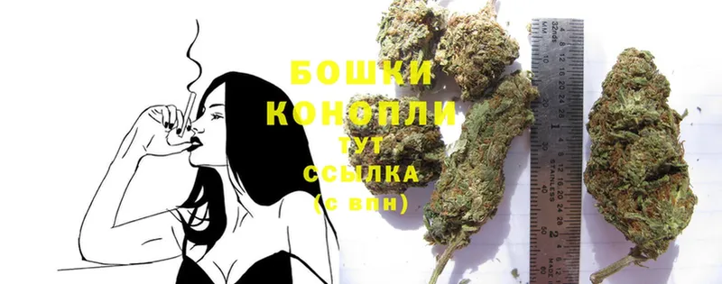 купить наркотик  Калининск  Конопля Bruce Banner 